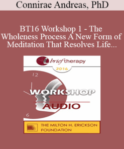 [Audio] BT16 Workshop 1 - The Wholeness Process A New Form of Meditation That Resolves Life Issues - Connirae Andreas