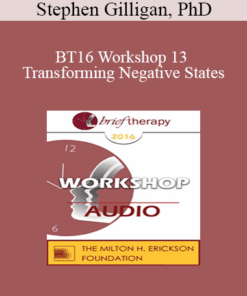 [Audio] BT16 Workshop 13 - Transforming Negative States: An Essential Skill in Generative Therapy - Stephen Gilligan
