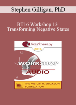 [Audio] BT16 Workshop 13 - Transforming Negative States: An Essential Skill in Generative Therapy - Stephen Gilligan