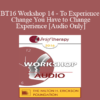 [Audio] BT16 Workshop 14 - To Experience Change You Have to Change Experience - Stephen Lankton