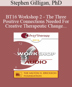 [Audio] BT16 Workshop 2 - The Three Positive Connections Needed For Creative Therapeutic Change - Stephen Gilligan