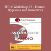 [Audio] BT16 Workshop 25 - Humor