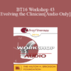 [Audio] BT16 Workshop 43 - Evolving the Clinician - Jeffrey Zeig