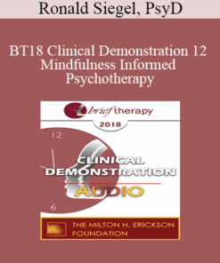 [Audio] BT18 Clinical Demonstration 12 - Mindfulness Informed Psychotherapy: A Demonstration - Ronald Siegel