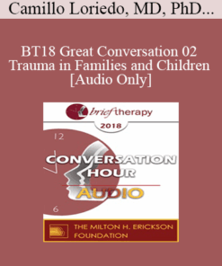 [Audio] BT18 Great Conversation 02 - Trauma in Families and Children - Camillo Loriedo