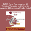 [Audio] BT18 Great Conversation 06 - Training Therapist to Work with Anxiety and Depression - Stephen Gilligan