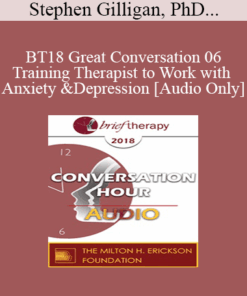 [Audio] BT18 Great Conversation 06 - Training Therapist to Work with Anxiety and Depression - Stephen Gilligan