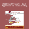 [Audio] BT18 Short Course 01 - Brief Approaches for Trauma Healing: Navigating Chaos