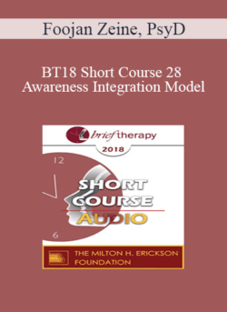 [Audio] BT18 Short Course 28 - Awareness Integration Model: Deep Integrative Psychotherapy - Foojan Zeine