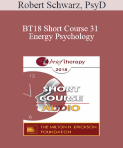 [Audio] BT18 Short Course 31 - Energy Psychology: A Brief Therapy to Treat Trauma - Robert Schwarz