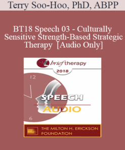 [Audio] BT18 Speech 03 - Culturally Sensitive Strength-Based Strategic Therapy - Terry Soo-Hoo