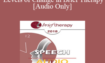 [Audio] BT18 Speech 07 - Neurological Levels of Change in Brief Therapy - Robert Dilts