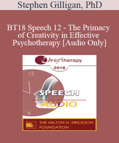 [Audio] BT18 Speech 12 - The Primacy of Creativity in Effective Psychotherapy - Stephen Gilligan
