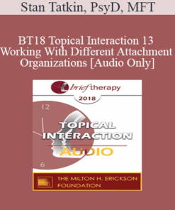 [Audio] BT18 Topical Interaction 13 - Working With Different Attachment Organizations - Stan Tatkin