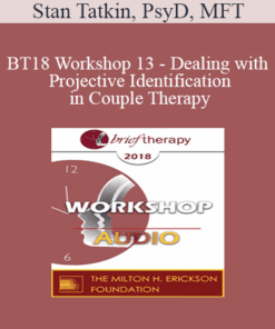 [Audio] BT18 Workshop 13 - Dealing with Projective Identification in Couple Therapy: The PACT Approach - Stan Tatkin
