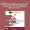 [Audio] BT93 Clinical Demonstration 09 - The Inner Advisor Techniques - Martin Rossman