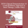 [Audio] BT93 Clinical Demonstration 14 - A Self-Relations Approach to Brief Therapy - Stephen Gilligan