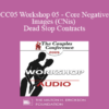 [Audio] CC05 Workshop 05 - Core Negative Images (CNis) and Dead Stop Contracts: Powerful Tools of Relational Recovery Therapy - Terry Real