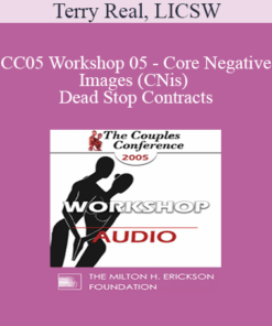 [Audio] CC05 Workshop 05 - Core Negative Images (CNis) and Dead Stop Contracts: Powerful Tools of Relational Recovery Therapy - Terry Real