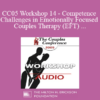 [Audio] CC05 Workshop 14 - Competence and Challenges in Emotionally Focused Couples Therapy (EFT) - Susan Johnson