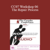 [Audio] CC07 Workshop 06 - The Repair Process: Helping Couples Get Back on Track - Terry Real