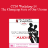 [Audio] CC09 Workshop 14 - The Changing State of Our Unions: Implications for Clinical Practice - Pat Love
