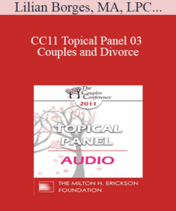[Audio] CC11 Topical Panel 03 - Couples and Divorce: How Do You Assess When Separation/Divorce Make Sense or Does it? - Lilian Borges