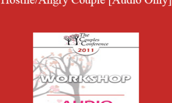 [Audio] CC11 Workshop 10 - The Hostile/Angry Couple - Ellyn Bader