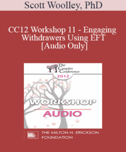 [Audio] CC12 Workshop 11 - Engaging Withdrawers Using EFT - Scott Woolley