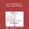 [Audio] CC12 Workshop 12 - Paper Tiger Paranoia: Undoing Threat Reactivity and Cultivating Strength and Realistic Safety - Rick Hanson