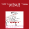 [Audio] CC13 Topical Panel 02 - Trauma - Stephanie Brown