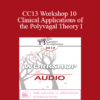 [Audio] CC13 Workshop 10 - Clinical Applications of the Polyvagal Theory I: Symbiotic Regulation of the Autonomic Nervous System - Stephen Porges