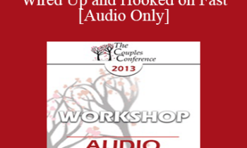 [Audio] CC13 Workshop 15 - SPEEEEEED! Wired Up and Hooked on Fast - Stephanie Brown