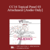 [Audio] CC16 Topical Panel 03 - Attachment - Rick Miller