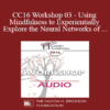 [Audio] CC16 Workshop 03 - Using Mindfulness to Experientially Explore the Neural Networks of Attachment - Rob Fisher