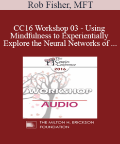[Audio] CC16 Workshop 03 - Using Mindfulness to Experientially Explore the Neural Networks of Attachment - Rob Fisher