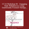 [Audio] CC16 Workshop 06 - Engaging Male Withdrawers Using Emotionally Focused Therapy - Scott Woolley