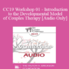 [Audio] CC19 Workshop 01 - Introduction to the Developmental Model of Couples Therapy - Ellyn Bader