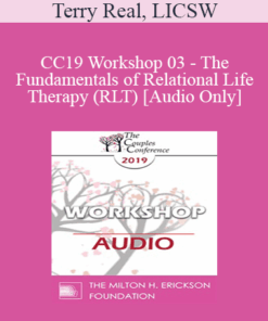 [Audio] CC19 Workshop 03 - The Fundamentals of Relational Life Therapy (RLT) - Terry Real