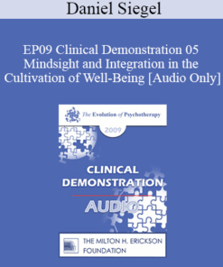 [Audio] EP09 Clinical Demonstration 05 - Mindsight and Integration in the Cultivation of Well-Being - Daniel Siegel