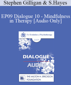 [Audio] EP09 Dialogue 10 - Mindfulness in Therapy - Stephen Gilligan