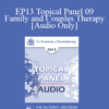 [Audio] EP13 Topical Panel 09 - Family and Couples Therapy - Harville Hendrix