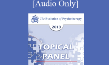 [Audio] EP13 Topical Panel 13 - Multicultural Issues - Robert Dilts