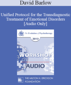 [Audio] EP13 Workshop 02 - Unified Protocol for the Transdiagnostic Treatment of Emotional Disorders - David Barlow