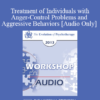 [Audio] EP13 Workshop 21 - Treatment of Individuals with Anger-Control Problems and Aggressive Behaviors: A Life-Span Treatment Approach - Donald Meichenbaum