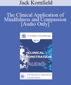 [Audio] EP17 Clinical Demonstration 07 - The Clinical Application of Mindfulness and Compassion - Jack Kornfield