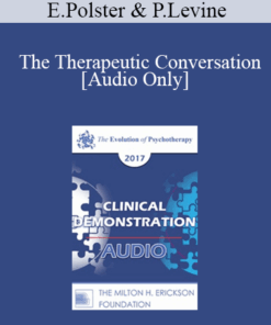 [Audio] EP17 Clinical Demonstration with Discussant 05 - The Therapeutic Conversation: A Reunion of the Minds - Erving Polster