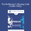[Audio] EP17 Speech 13 - Psychotherapy's Missing Link: Why Don't the Majority of People Who Could Benefit From Seeing a Therapist Go? - Scott Miller