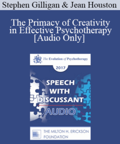 [Audio] EP17 Speech with Discussant 02 - The Primacy of Creativity in Effective Psychotherapy - Stephen Gilligan