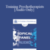 [Audio] EP17 Topical Panel 01 - Training Psychotherapists - Donald Meichenbaum